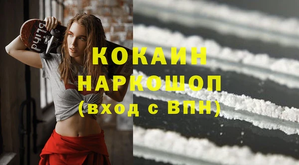 прущие грибы Абаза