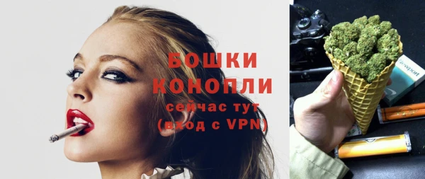 прущие грибы Абаза