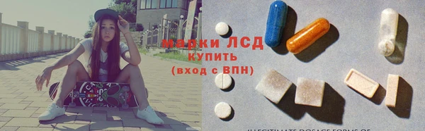 прущие грибы Абаза