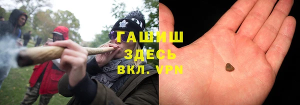 прущие грибы Абаза