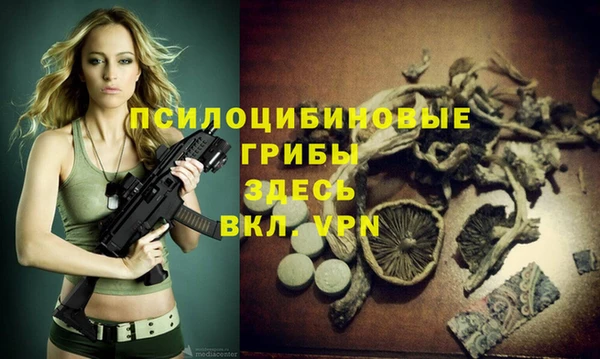 МДПВ Абинск