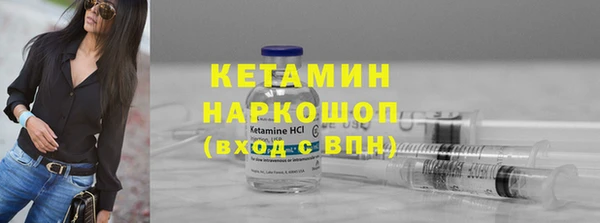 прущие грибы Абаза