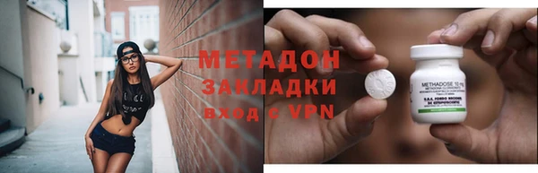 прущие грибы Абаза