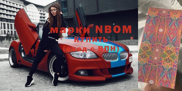 прущие грибы Абаза