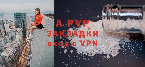 прущие грибы Абаза