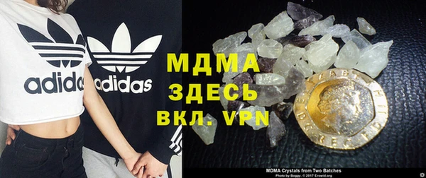 прущие грибы Абаза